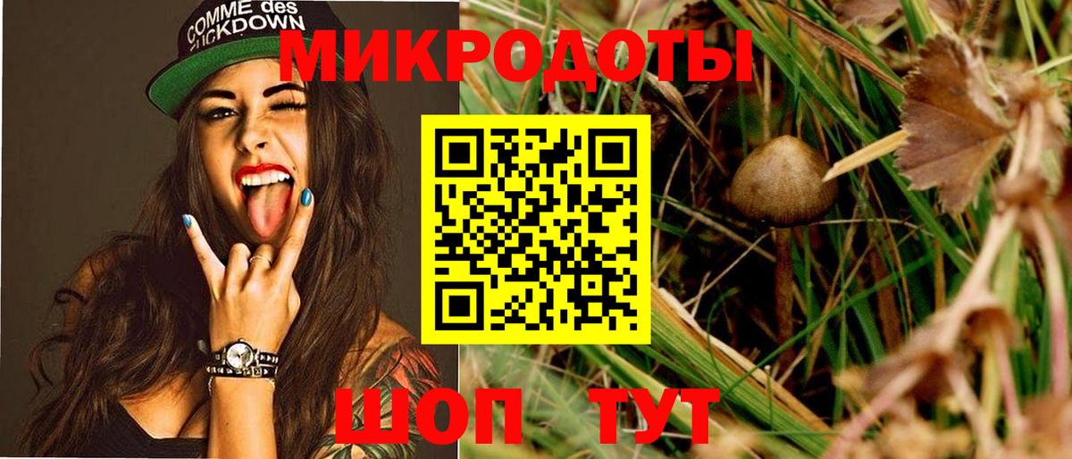 сколько стоит  Вход с VPN  Петропавловск-Камчатский  Псилоцибиновые грибы прущие грибы  Галлюциногенные грибы Cubensis 