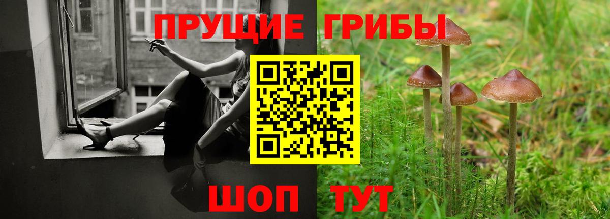 Псилоцибиновые грибы GOLDEN TEACHER Петропавловск-Камчатский